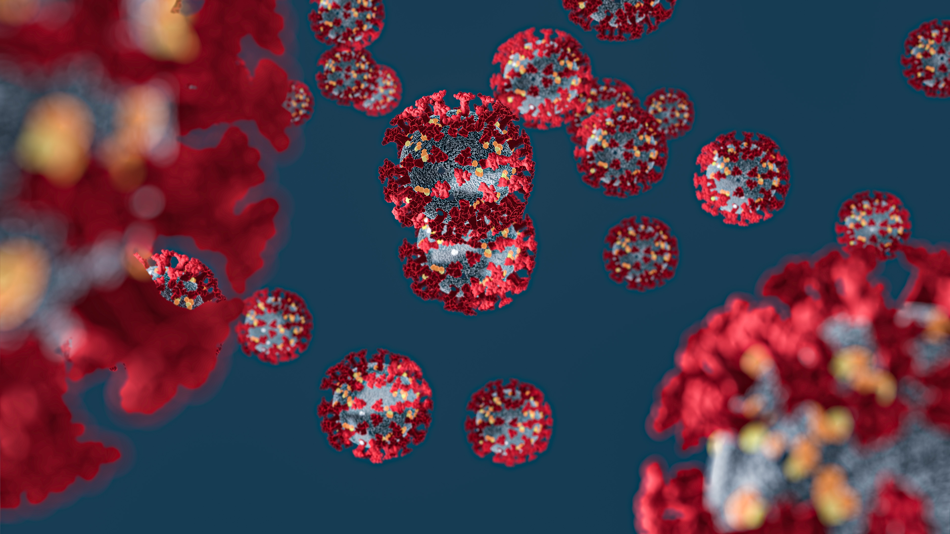 Image of Corona Virus by mattthewafflecat from Pixabay